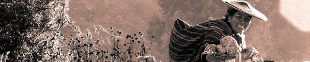 Declaração de Acessibilidade