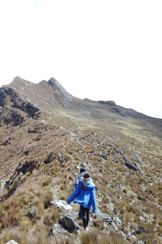 Isla Incahuasi Bolivia